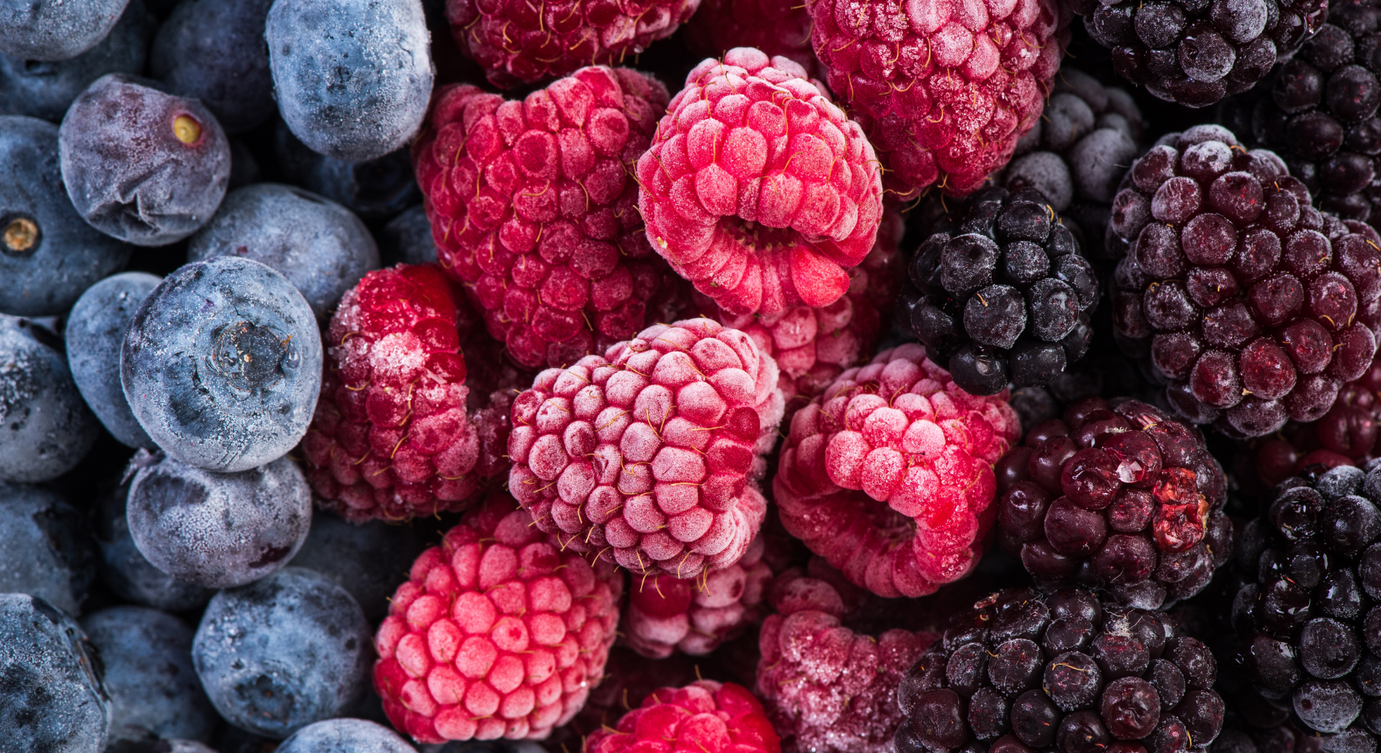 Transport surgelé Belgique